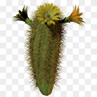 Image - Cactus With Flower Png Clipart