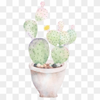 Hand Painted A Plate Of Cactus Png Transparent - Cactus Clipart
