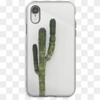 The Single Cactus Case Iphone Xr Tough - Weberocereus Clipart