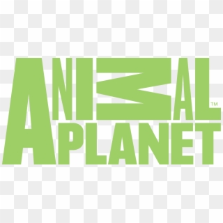 Animal Planet - Animal Planet Network Logo Clipart