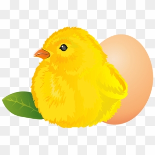 Download Easter Chicken Png Images Background - Canary Clipart