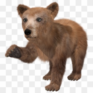 Bear Png High-quality Image - Brown Bear Cub Png Clipart