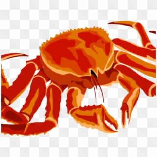 Seafood Clipart Spider Crab - Png Download