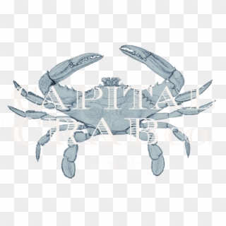 Capital Crab - Co - Crab Clipart