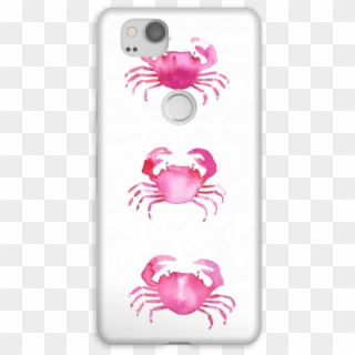 Grab A Crab Case Pixel - Freshwater Crab Clipart
