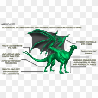 Pern Dragons Clipart