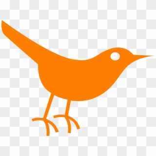 Bird Twitter Orange Sparrow Pigeon Dove - Twitter Bird Icon Clipart
