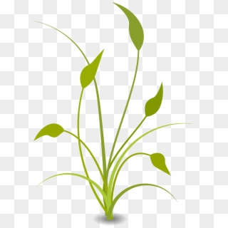 Plant Leaves Grad Green Png Image - Nature Clipart Transparent