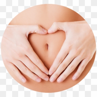Feel Healthy, Light, Clean & Full Of Energy With Colon - Fisioterapia Saude Da Mulher Clipart