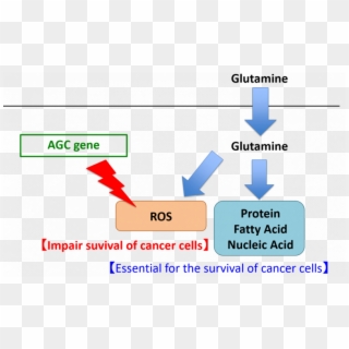 Cancer And Glutamine Clipart