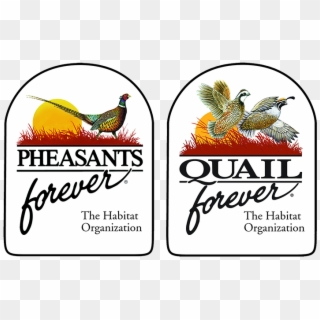 Pheasants Forever Quail Forever , Png Download - Pheasants Forever Quail Forever Clipart