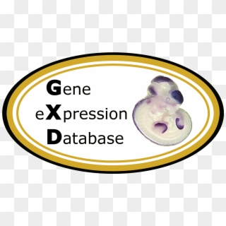Genes Png , Png Download - Gene Expression Database Clipart