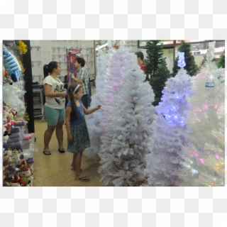 Los Árboles De Navidad Blancos También Son Solicitados - Christmas Lights Clipart