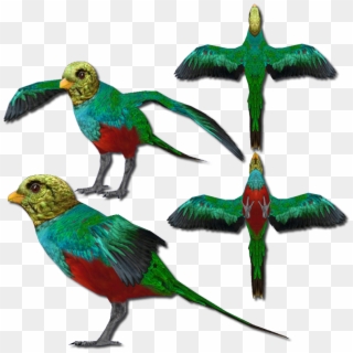 Golden Headed Quetzal V2 - Parrot Clipart