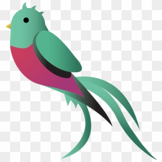 Qchain - Guatemala Bird Logo Clipart