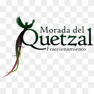 Logo Quetzal Verde - Calligraphy Clipart