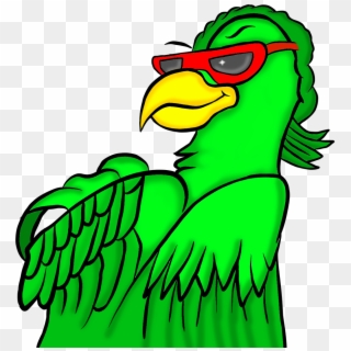 I Have The First And The Only Furry Quetzal Bird In - Parrot Clipart