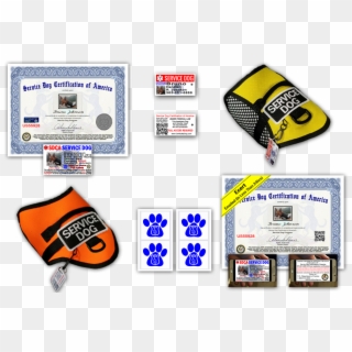 Orange Clipart