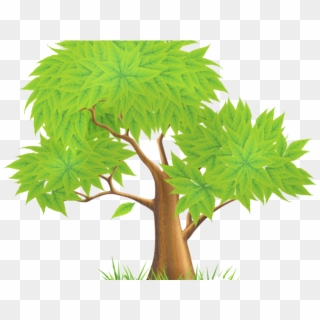 Tree Clipart Clipart - Tree Clipart Png Transparent