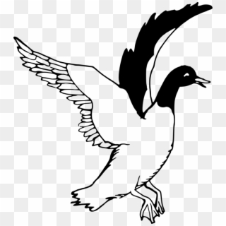 Duck Goose Drawing Line Art Black And White - Duck Flying Clipart Black And White - Png Download