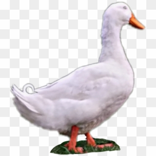 Duck Sticker - Duck Clipart