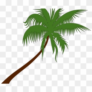 Last Viewed Post - Transparent Palm Tree Vector Clipart