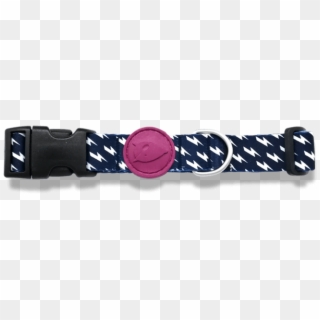 Dog Collar - Belt Clipart