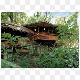 View The Tree House Resort, Tree House Resort Playa - Puerto Viejo Costa Rica Tree House Lodge Clipart