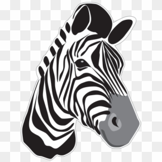 Zebra Head Png - Zebra Clipart