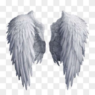 Angel Wings Png, White Angel Wings, Angel Aesthetic, - White Angel Wings Transparent Background Clipart