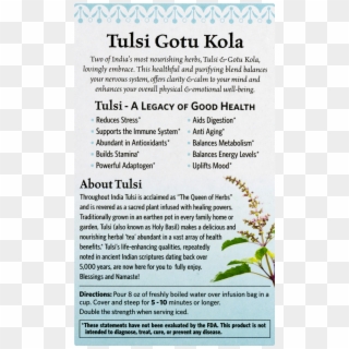 Organic India Tulsi Tummy Tea Clipart