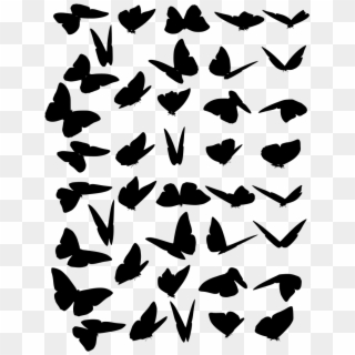 Download Png - Swarm Of Butterflies Drawing Clipart