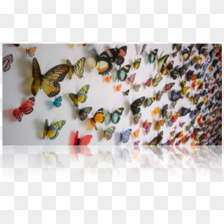 Butterfly - Kristi Malakoff Art Butterflies Clipart