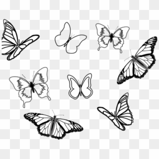 Eight Butterflies Black And White Clipart - Png Download