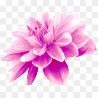 Dahlia Clipart Light Purple Flower - Dahlia Flower Clip Art - Png Download