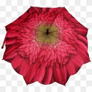 Gerbera Daisy Pink Folding Umbrella , Png Download - Flower Umbrella Clipart