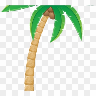 Plants Clipart Coconut Tree - Coconut Tree Clipart Png Transparent Background