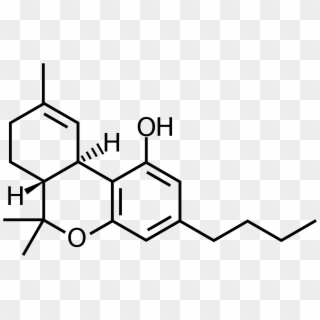 File - Tetrahydrocannabinol-c4 - Svg - 3 5 Dimethylphenol Clipart