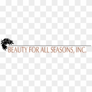 Beauty For All Seasons Logo Png Transparent - Attalea Speciosa Clipart