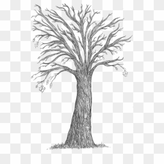 The Trees, Which Are Designed To Represent The Monster's - Sketch Clipart