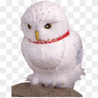 Hedwig The Owl Prop - Harry Potter Owl Clipart
