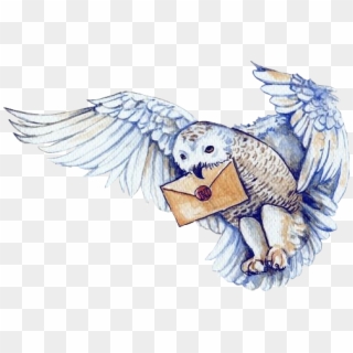 #knightbus #harrypotter #hedwig #owl #hogwartsletter - Harry Potter Hedwig Png Clipart