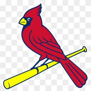 The 2019 Cardinals Carivan Rolls To Pepsi Arena At - St Louis Cardinals Bird On Bat Clipart