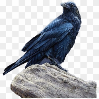 #raven - Raven Daniel Smith Art Clipart