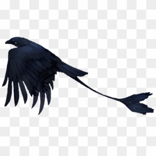 #bird #fantasy #scifi #raven #birds #black #cool #dark - American Crow Clipart