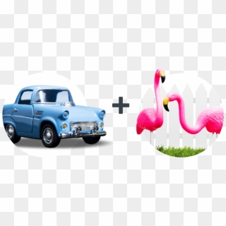 A Flamingo Confuses A Car Driver, Causing A Wreck - Turkey Clipart