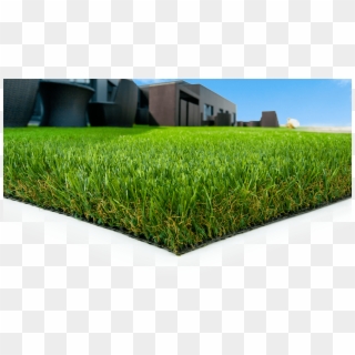 Artificial Grass & Synthetic Grass Lawns And Landscapes - Lawn Clipart