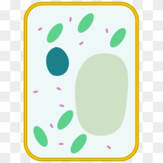 Simple Diagram Of Plant Cell - Plant Cell Labeled Simple Clipart