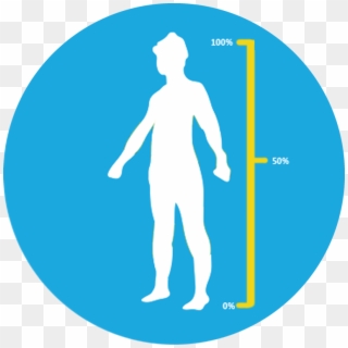Body Fat Percentage - Illustration Clipart