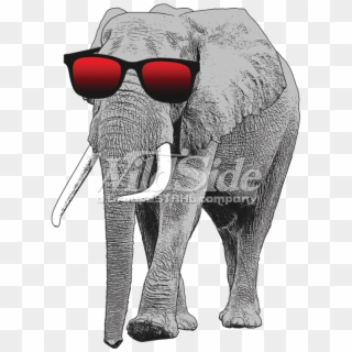 Elephant With Sun Glasses - Elephant With Glasses Clipart